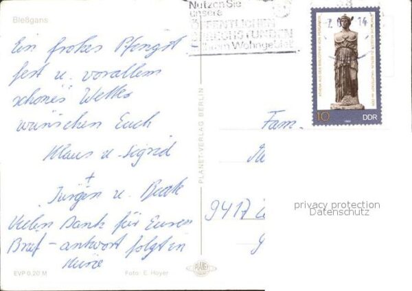 Voegel Blessgans – Bild 2