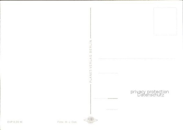 Voegel – Bild 2