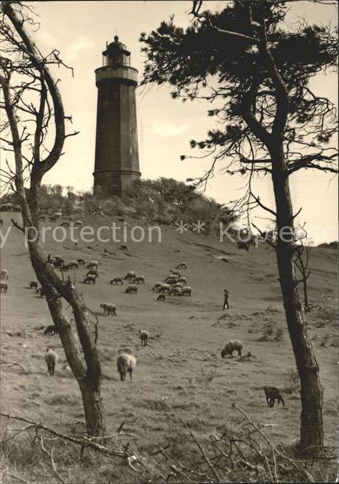 Leuchtturm Lighthouse Am Dornbusch Insel Hiddensee
