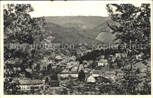 Oppenau Panorama Luftkurort Renchtal