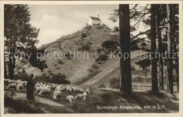 Wurmlingen Rottenburg Bergkapelle Schafherde Schäfer