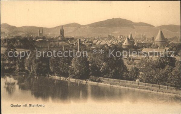 Goslar Panorama mit Steinberg