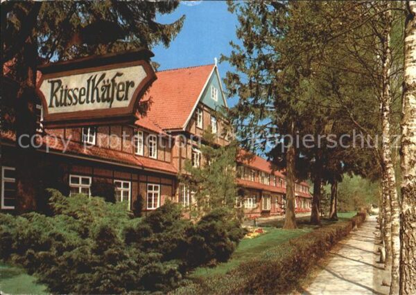 Jesteburg Waldklinik Rüsselkäfer