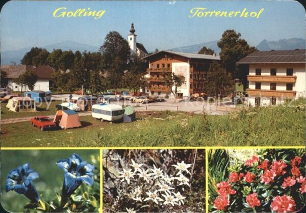 Torren Golling Torrenerhof Camping Haflingerhof Alpenf