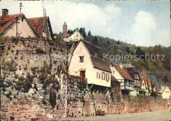 Hirschhorn Neckar mit Burg und Schloß-Hotel