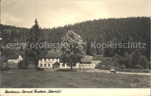 Hirschsprung Ferienheim Ladenmühle