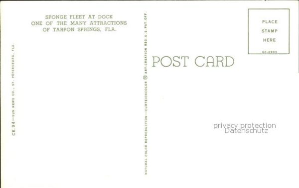 Tarpon Springs Sponge Fleet Dock – Bild 2