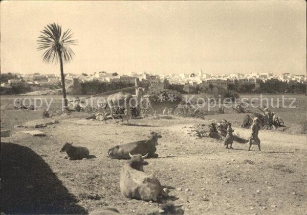 Maroc Marokko Azemour
