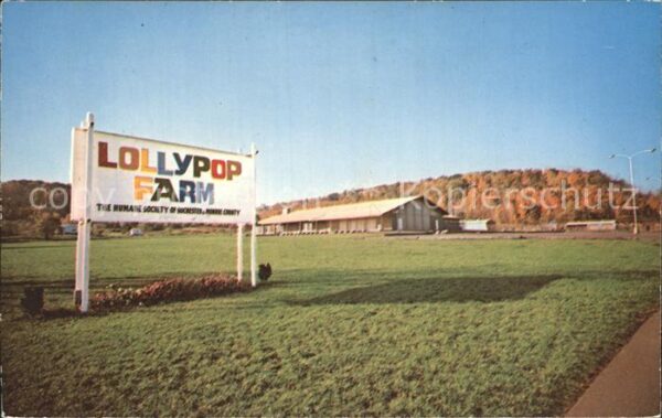 Rochester New York Lollypop Farm