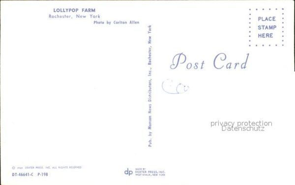 Rochester New York Lollypop Farm – Bild 2