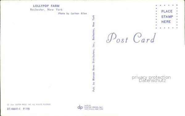 Rochester New York Lollypop Farm – Bild 2