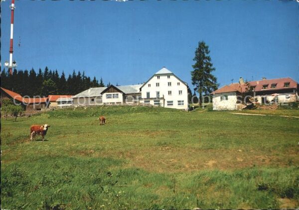 Gramastetten Gasthaus Hengstschläger