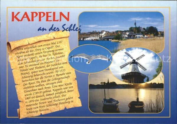 Kappeln Schlei Windmühle Möwe