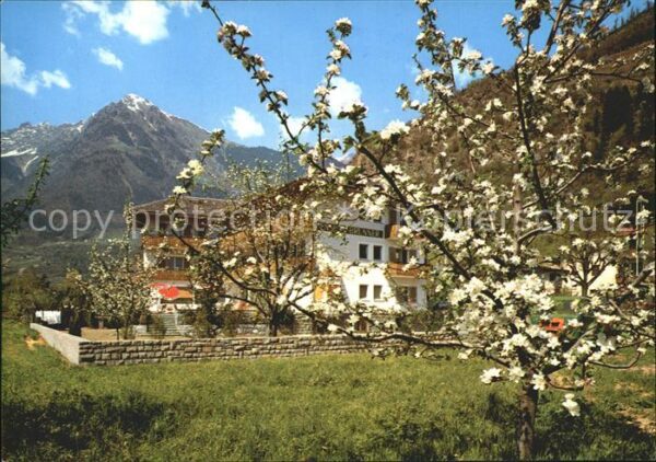 Meran Merano Pension Brunner