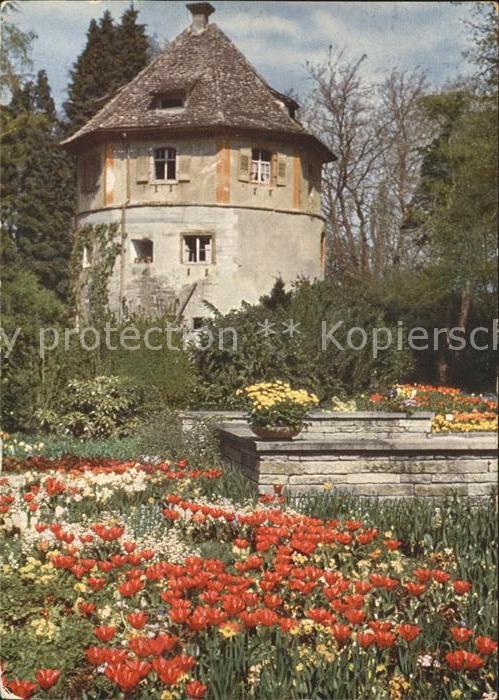 Insel Mainau Tulpen am alten Wehrturm
