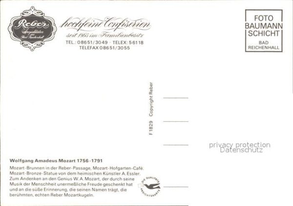 Bad Reichenhall Wolfgang Amadeus Mozart Brunnen Hofgart – Bild 2