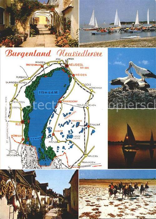 Neusiedl See Rund um den Neusiedlersee Segeln Störch