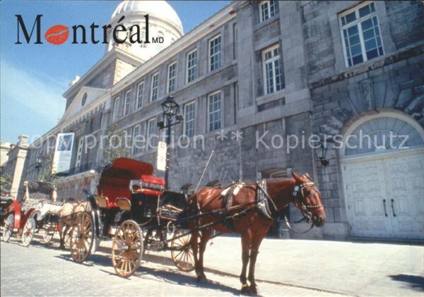 Montreal Quebec Caleches devant le Marche Bonsecours Pf