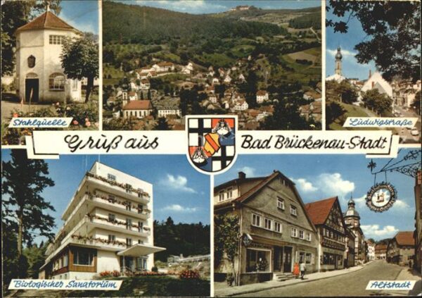 Bad Brueckenau Stahlquelle Ludwigstrasse Altstadt Biol