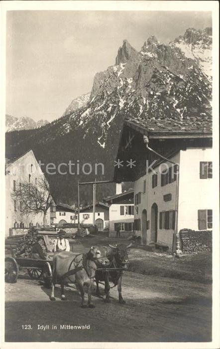 Mittenwald Bayern Strassenmotiv Kühe