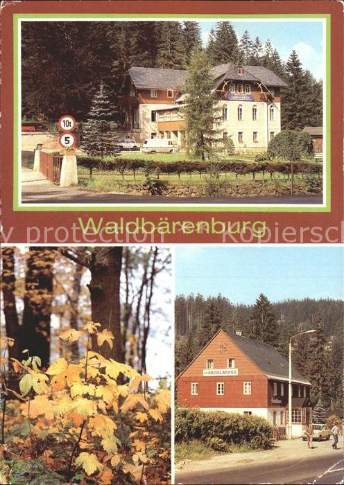 Waldbaerenburg Ferienheim Schäfermühle Riedelmühle