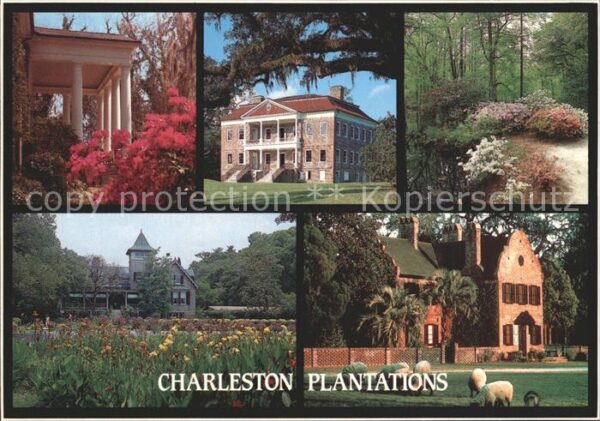 Charleston South Carolina Plantations Boone Hall Drayton Hall