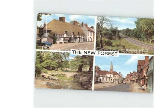 Southhampton the new Forest