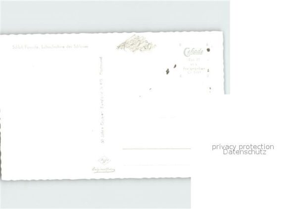 Foerch Schloss Favorite Fliegeraufnahme – Bild 2
