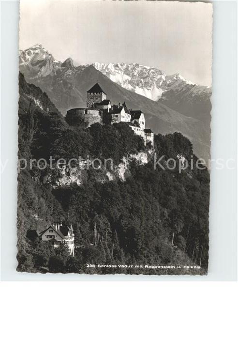 Vaduz Fliegeraufnahme Schloss mit Rappenstein