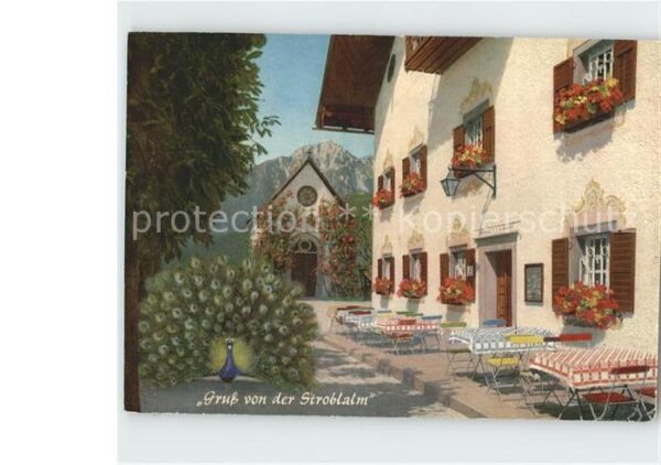 Strobl Stroblalm am Högl mit Hochstaufen Fasan