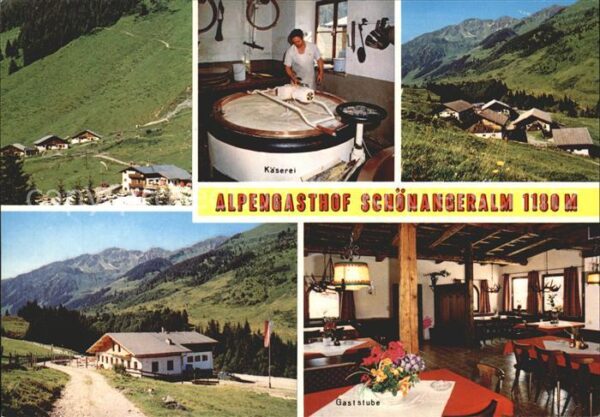 Wildschoenau Tirol Alpengasthof Schönangeralm