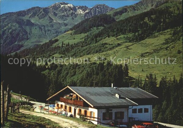 Wildschoenau Tirol Wandergebiet Schönangeralm