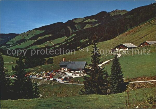 Wildschoenau Tirol Alpengasthof Schönangeralm