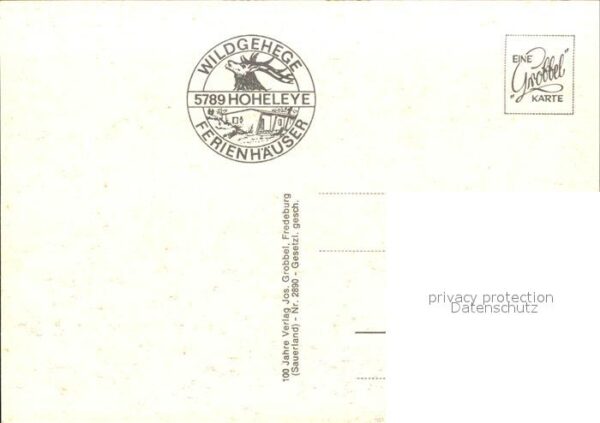 Hoheleye Wildgehege Ferienhäuser – Bild 2