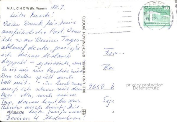 Malchow Schwan – Bild 2