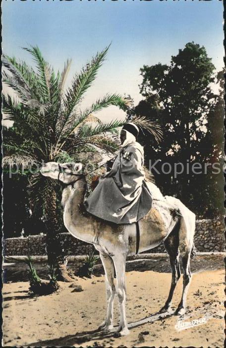 Scenes et Types Nr. 44 Beau Mehariste Kamel