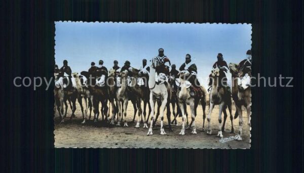Scenes et Types Nr. 85 Groupe de Touaregs a Mehari Kamele