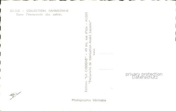 Kamel  Camel Chameau Collection Saharienne Dans l'immensite – Bild 2