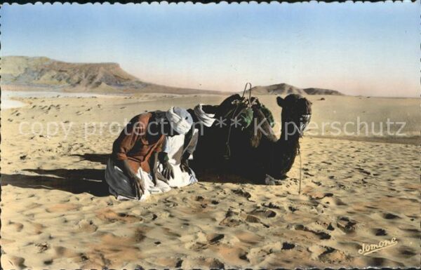 Scenes et Types Nr. 115 Bou-Saada Priere dans le Desert Kam