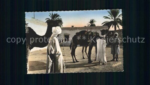 Scenes et Types Nr. 124 Bou-Saada Chameliers dans l'Oasis K
