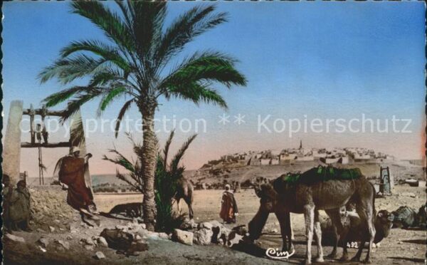 Kamel  Camel Chameau Collection Artistique L'Afrique Nr. 492