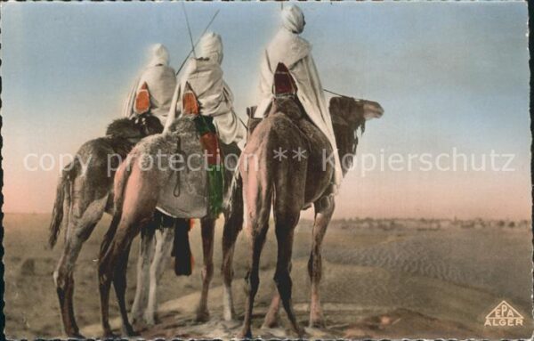 Scenes et Types Nr. 4002 Groupe de Touaregs