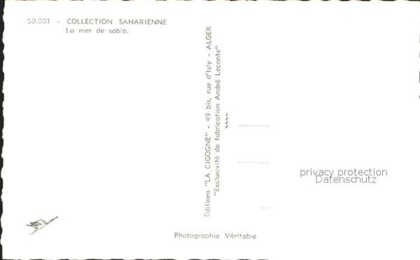Kamel  Camel Chameau Collection Saharenne Nr. 50.001 Mer de – Bild 2