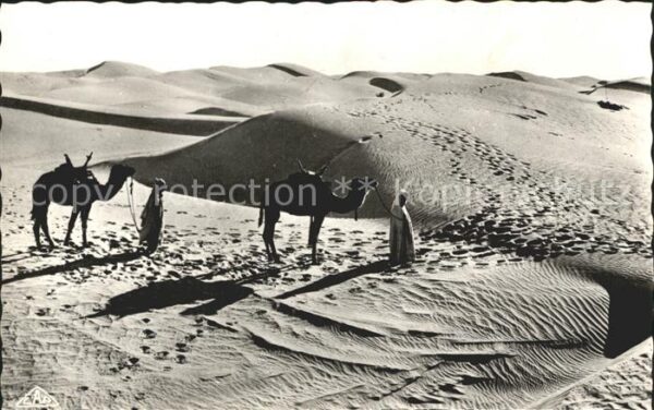 Scenes et Types Nr. 1122 Passage des Dunes de Sable au Dese