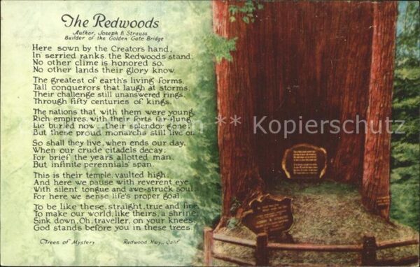 Baeume Trees The Redwoods Poem Joseph B. Strauss