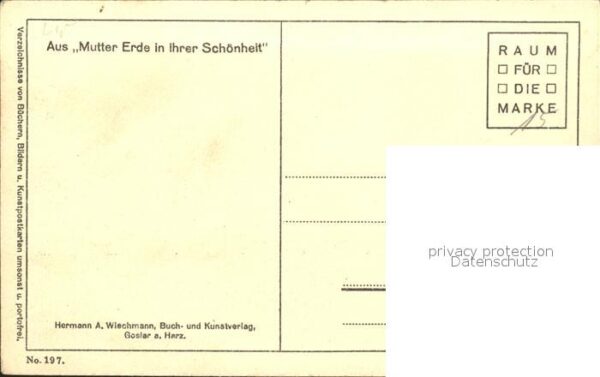 Landwirtschaft Heimkehr vom Felde – Bild 2