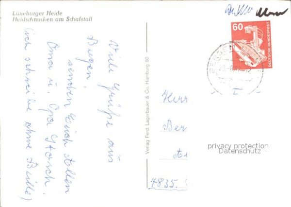 Schafe Heidschnucken Schafstall Lüneburger Hei – Bild 2