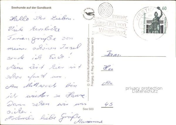 Seehunde Robben Sandbank – Bild 2