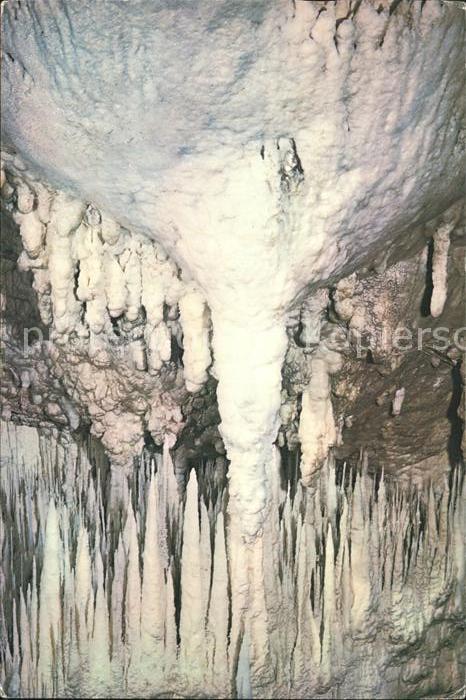 Hoehlen Caves Grottes Waitomo Caves Snow White Seven Dwarfs A
