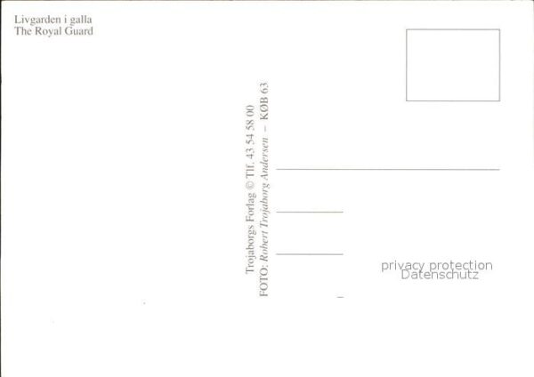 Leibgarde Wache Royal Guard Band Livgarden i galla Cope – Bild 2